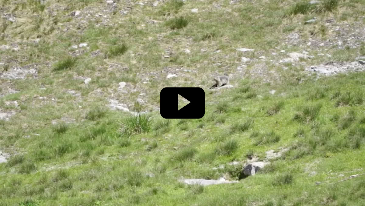 Vidéo Lire la vidéo